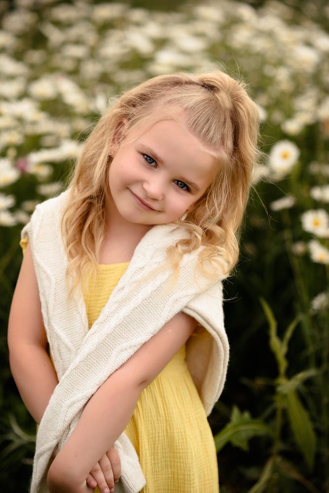 Ромашковые поля