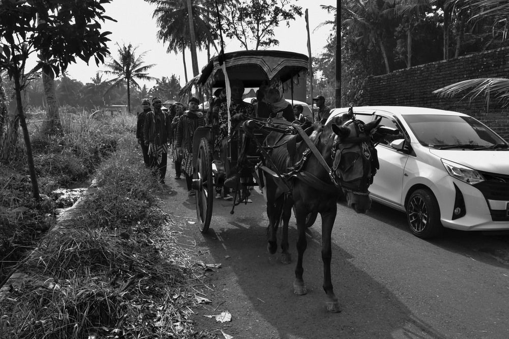 Traditional transportation