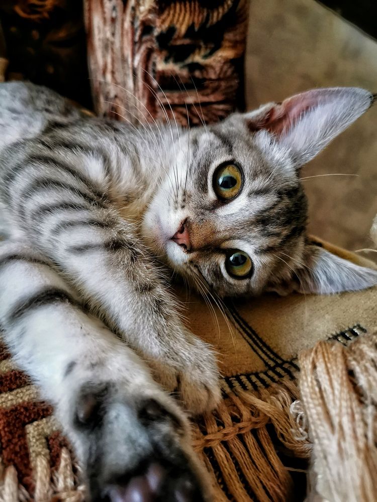 Photograph by Елена Артёменко