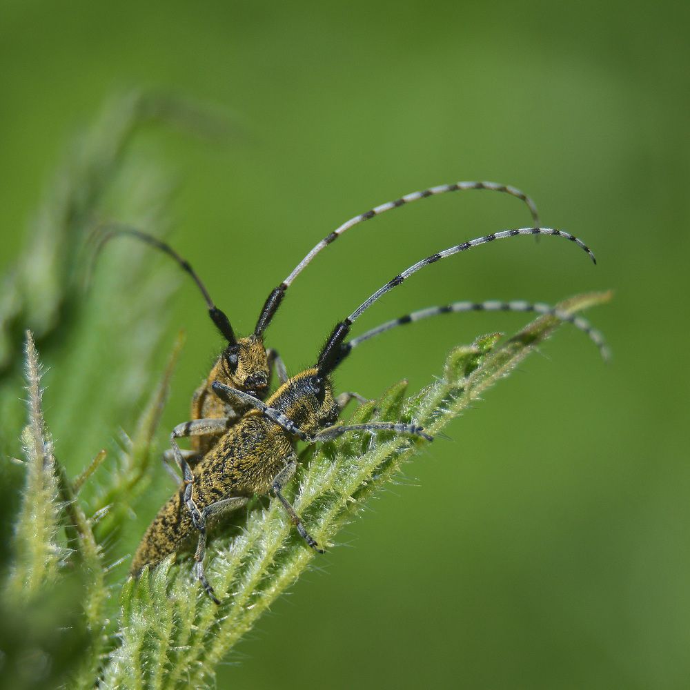 Сложные семейные отношения.
