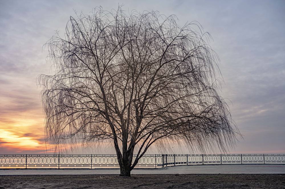 Полное одиночество