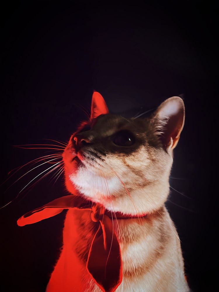 Photograph by Дарья Эглите