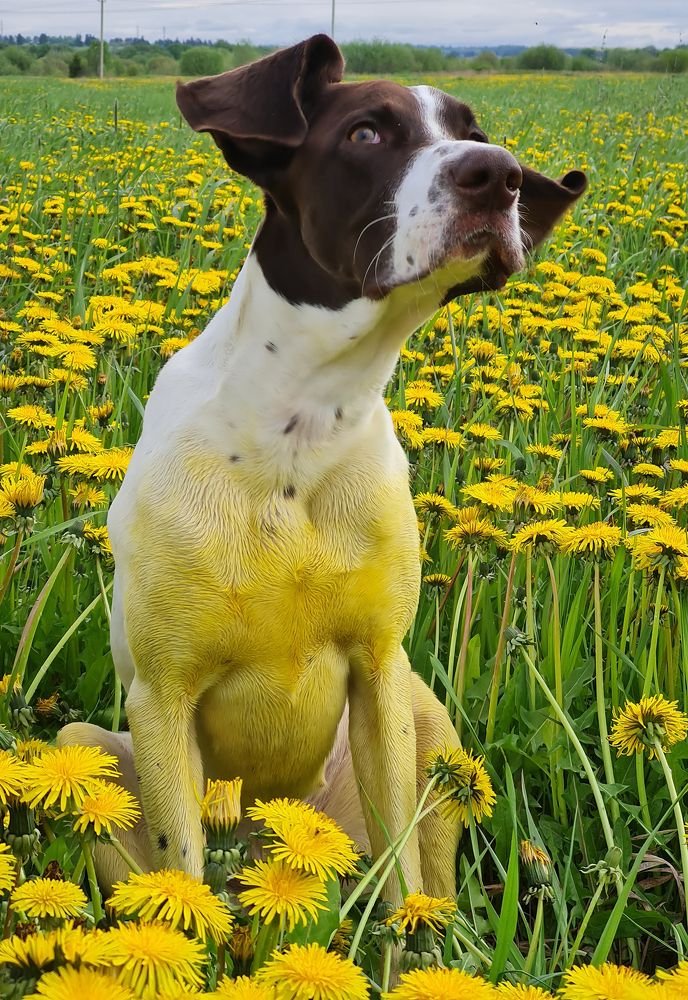 Photograph by Алексей Широбоков