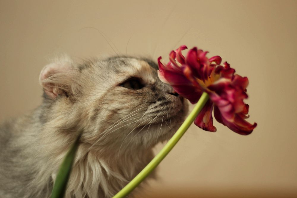 Photograph by Елена Макаренко