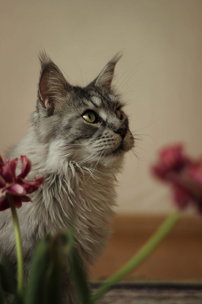 Photograph by Елена Макаренко