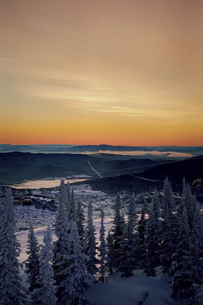 Фотография автора Dimitri