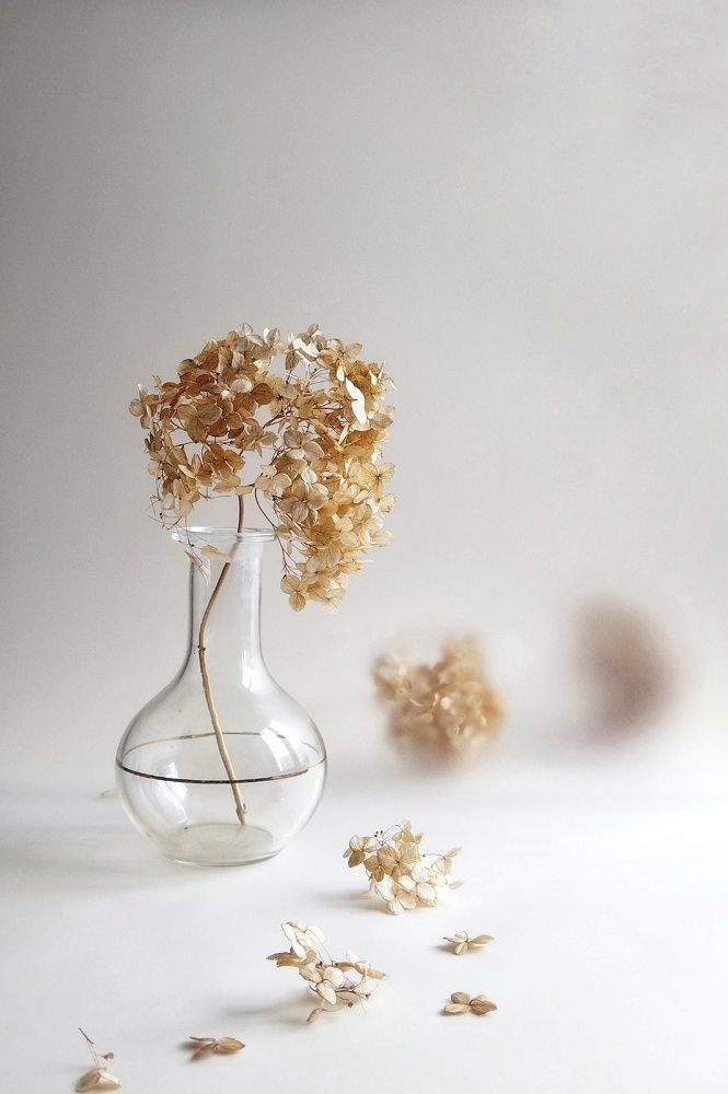 Photograph by Надежда Горчакова