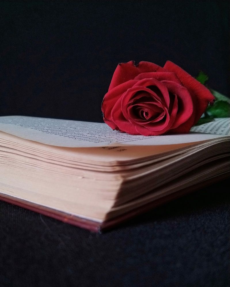 Photograph by Надежда Горчакова