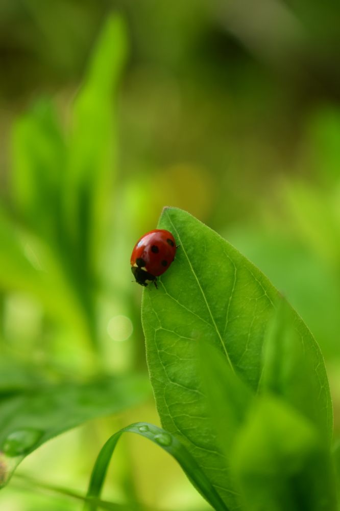 Photograph by Наталья Еременко