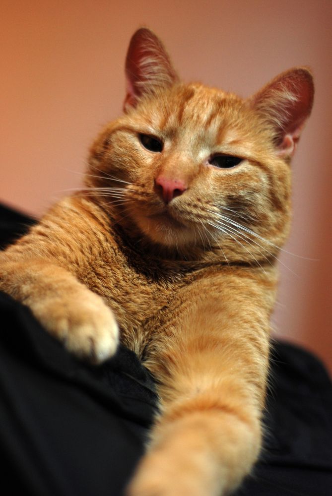 Photograph by Ольга Козлова