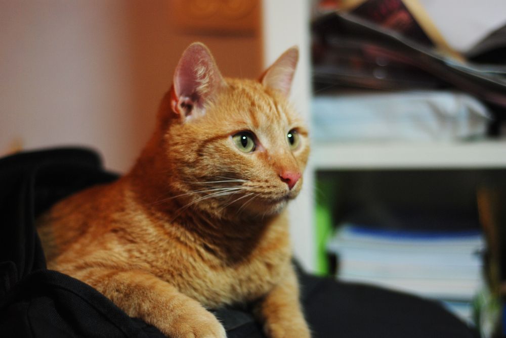 Photograph by Ольга Козлова