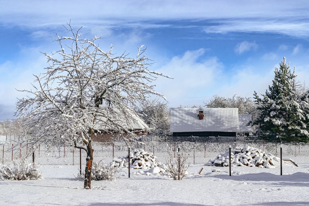 Зима в деревне
