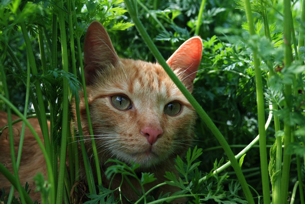 Photograph by Ольга Козлова