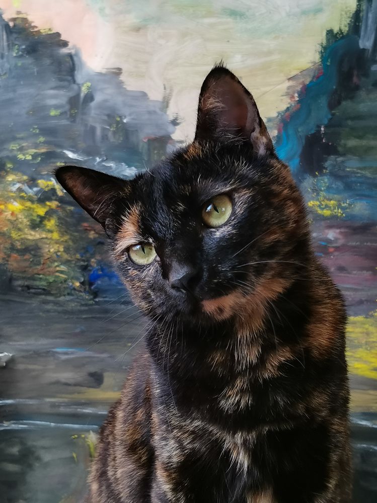 Photograph by Ирина Ветюгова