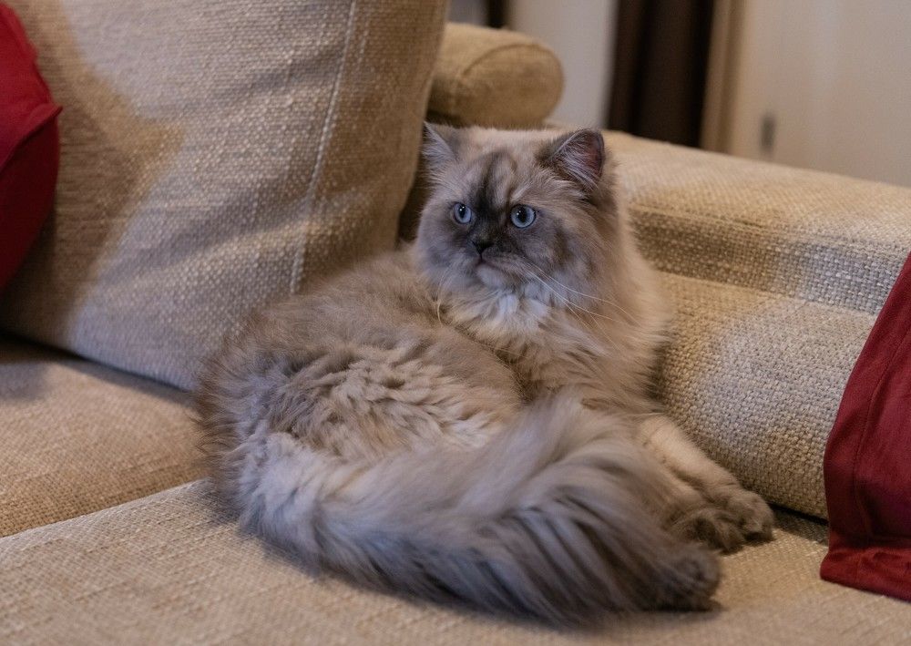 Photograph by Hany Salem