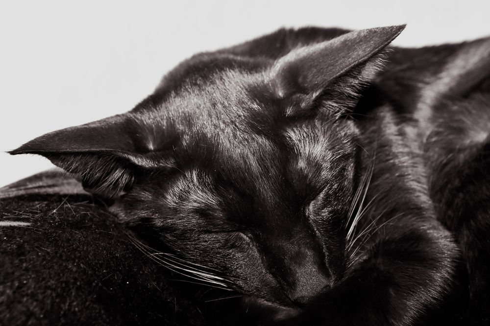 Photograph by Vjaceslavs