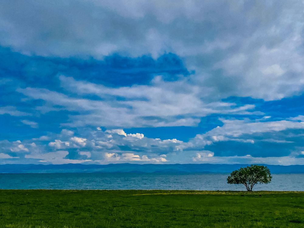 Photograph by Дарья Андреева