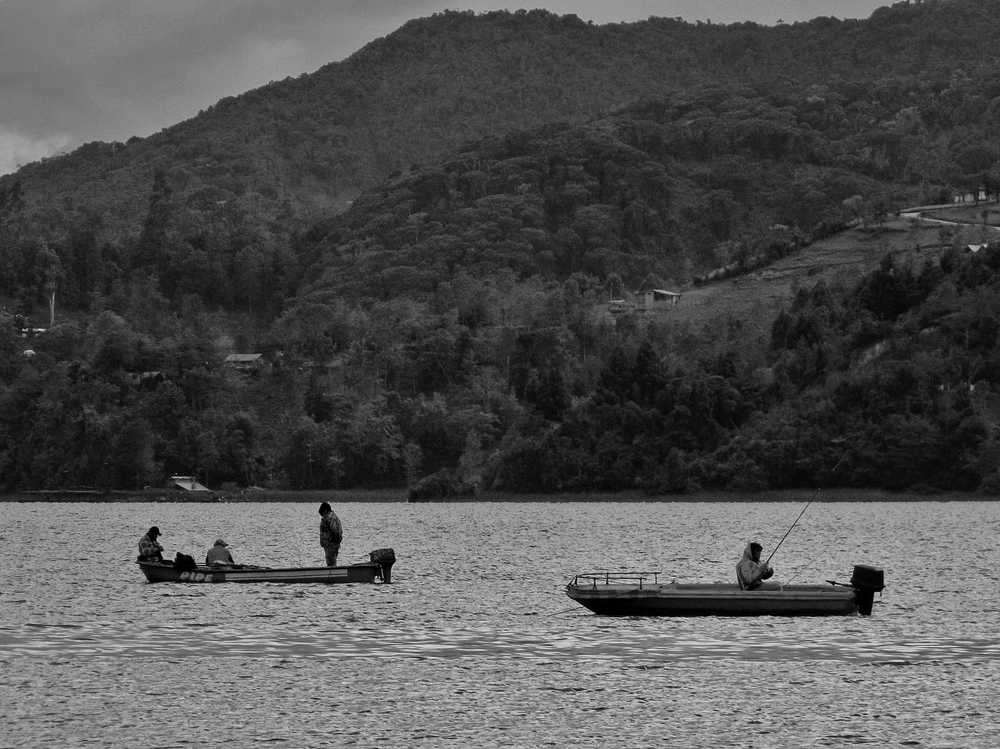 Photograph by Cristhian Jimenez