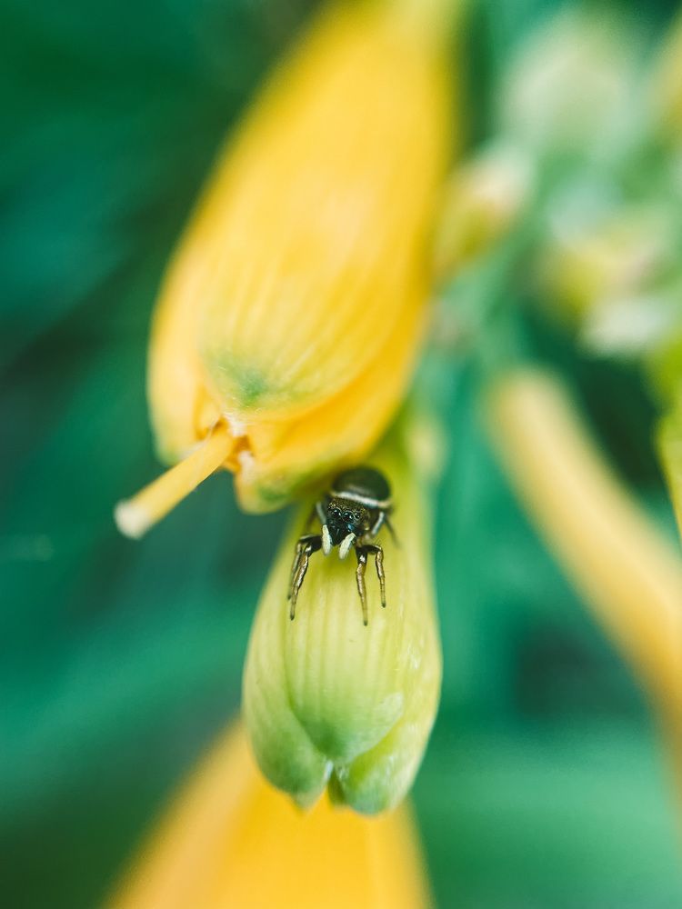 Photograph by Karina Mamliutova