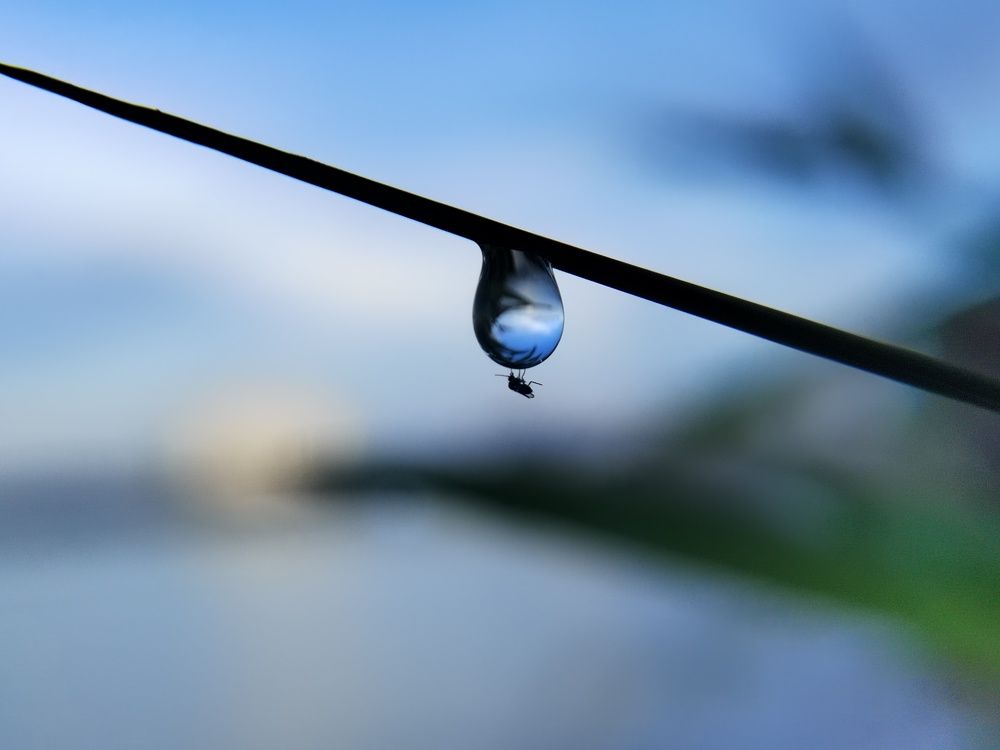 Photograph by Halim Samad