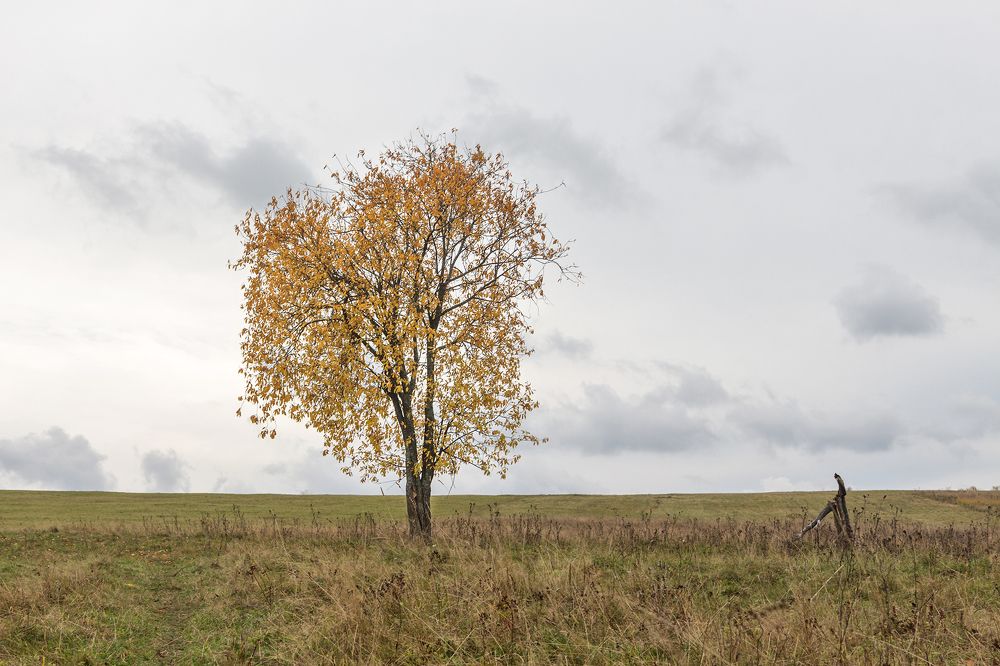 Photograph by Старцев Андрей