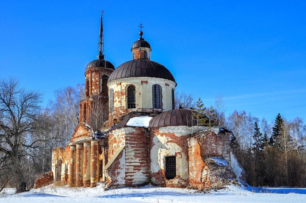 И на крышах растут деревья