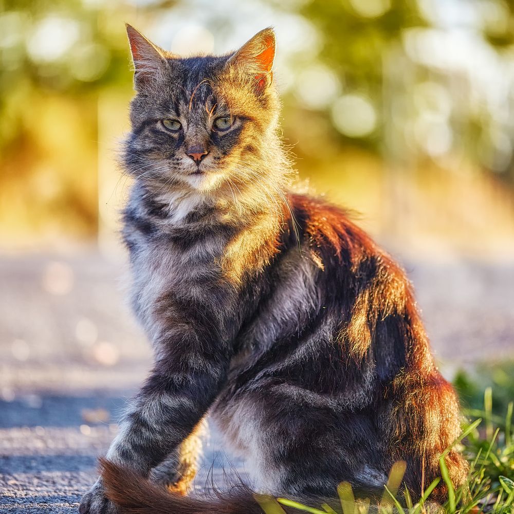 Photograph by Borsan Claudiu Valentin