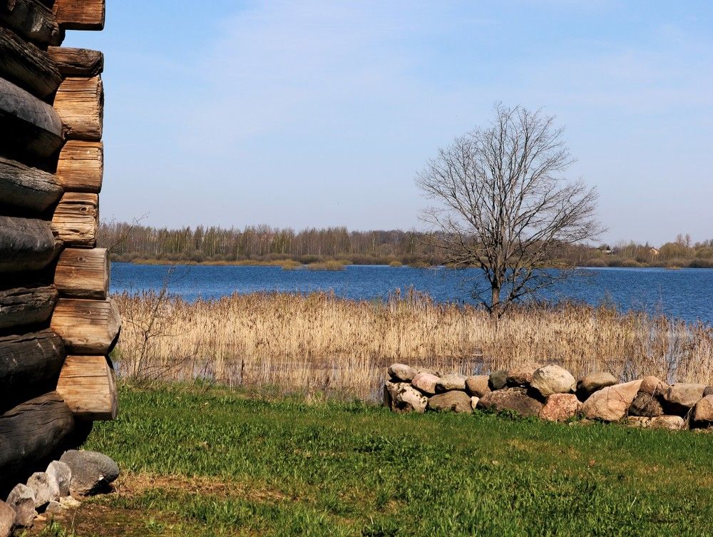 Photograph by Анастасия Свиридова