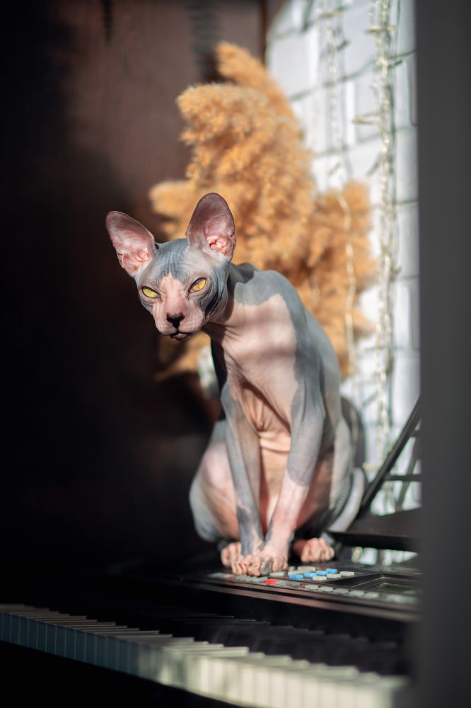 Photograph by Екатерина Кузнецова