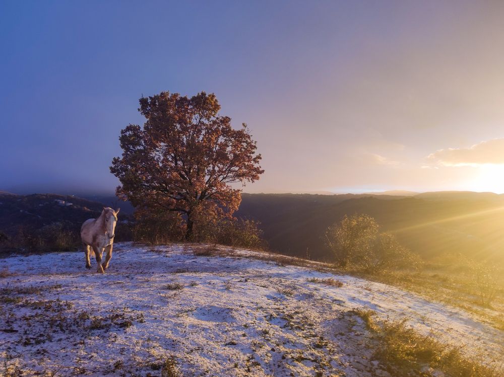 Photograph by Borsan Claudiu Valentin