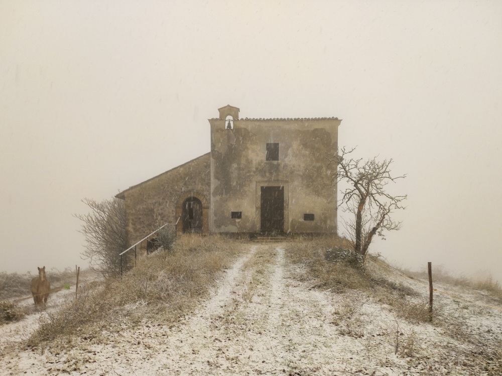 Photograph by Borsan Claudiu Valentin