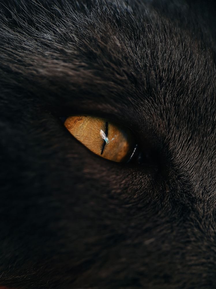 Photograph by Victoria Stoliarenko