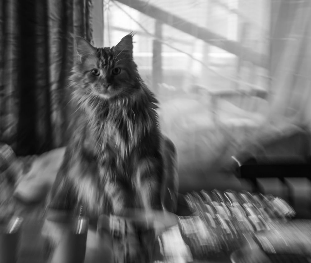 Фотография автора Виктор Руденко