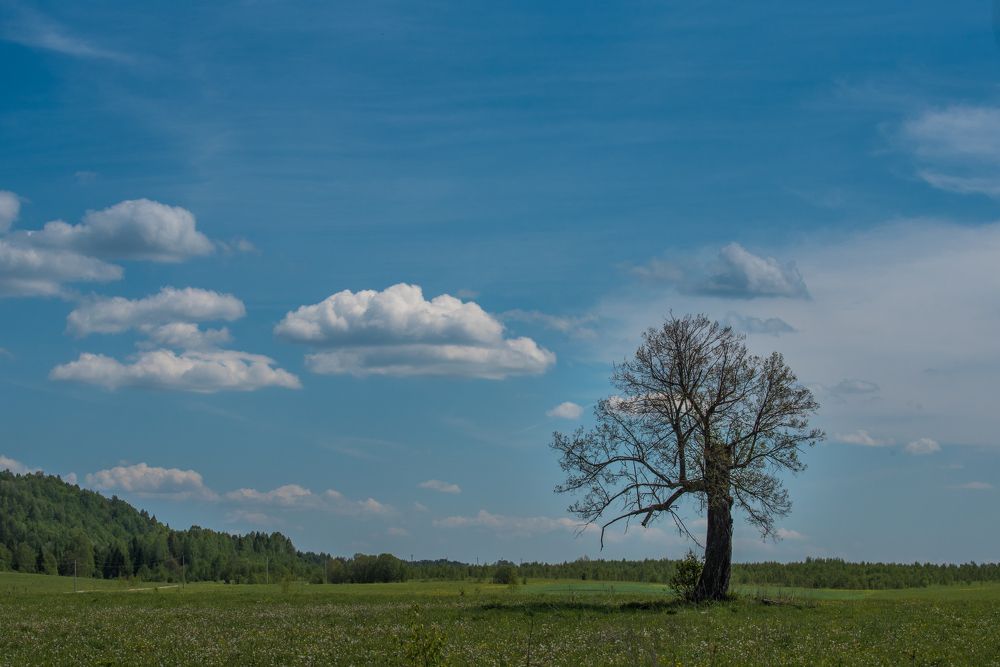 Фотография автора Виктор Руденко