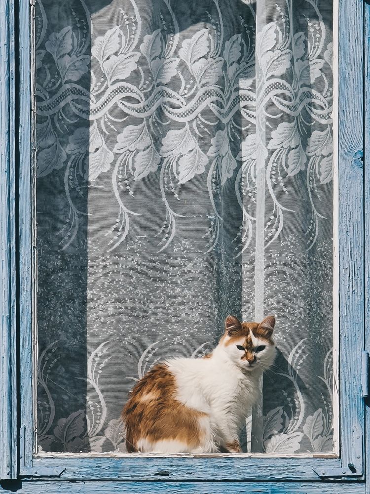 Photograph by Victoria Stoliarenko