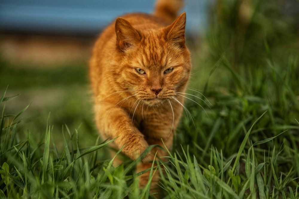 Photograph by Татьяна