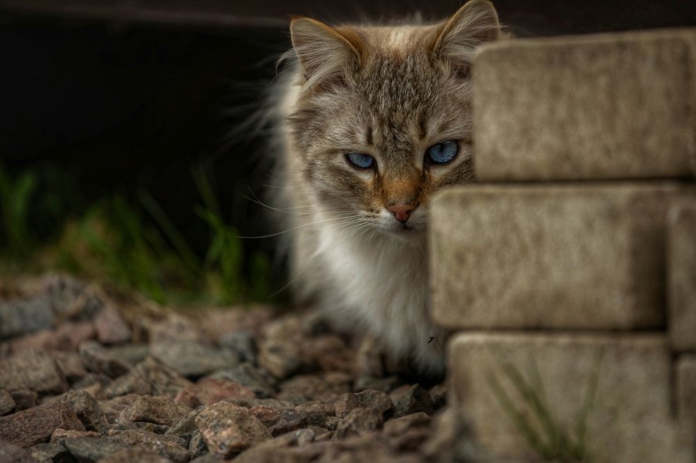 Photograph by Татьяна