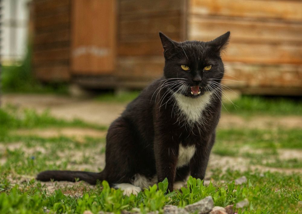 Photograph by Татьяна