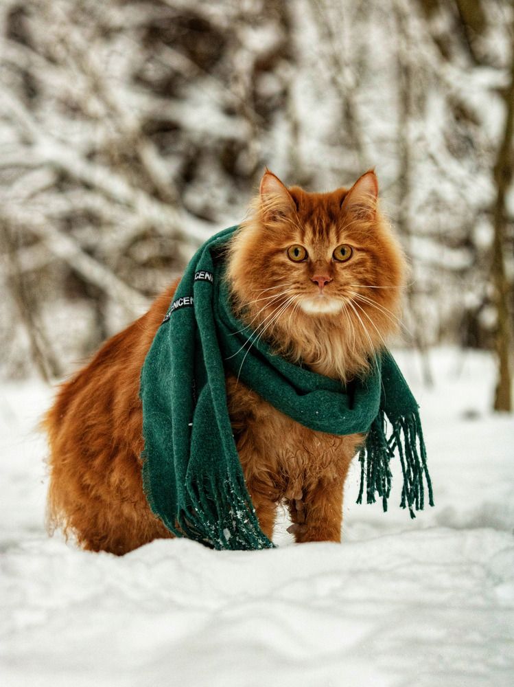 Photograph by Татьяна