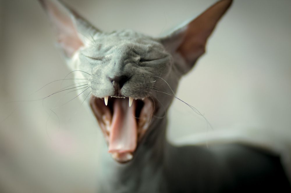 Photograph by Анжелика Соловьева