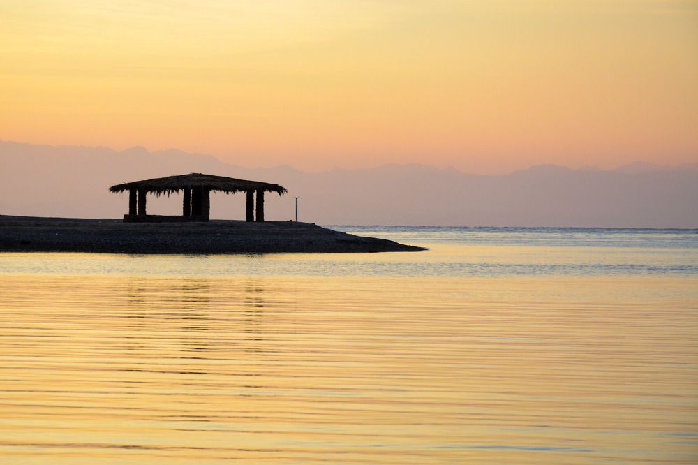 Фотография автора Mahmoud Ahmed