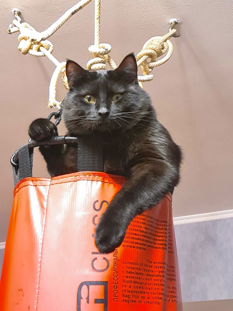 Photograph by Екатерина Козлова