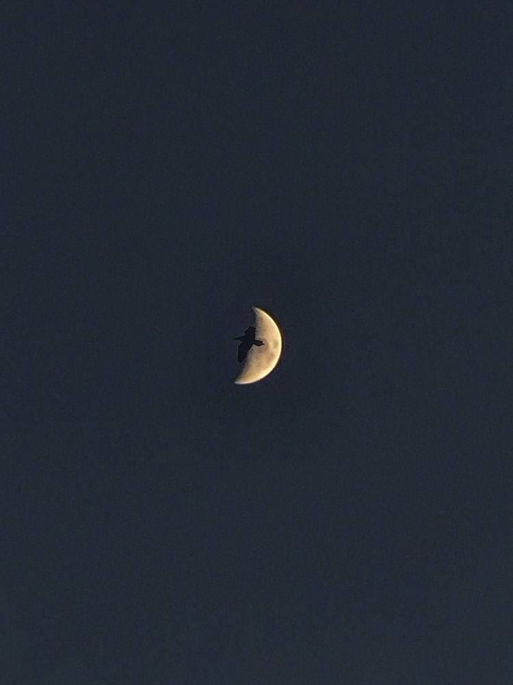 Photograph by Sumitava Chowdhury