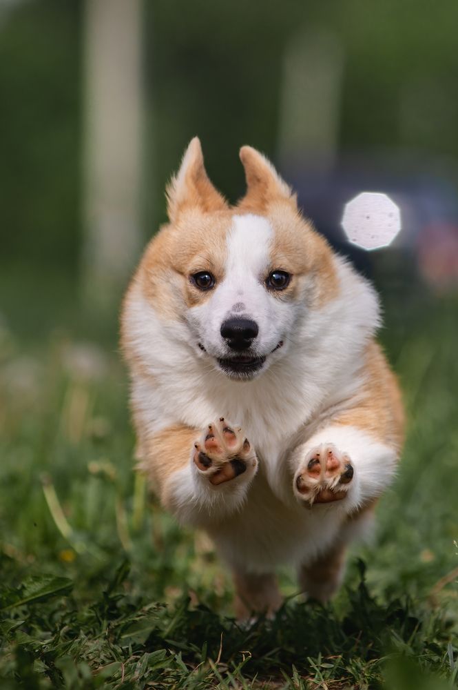 Photograph by Алексей Соколов