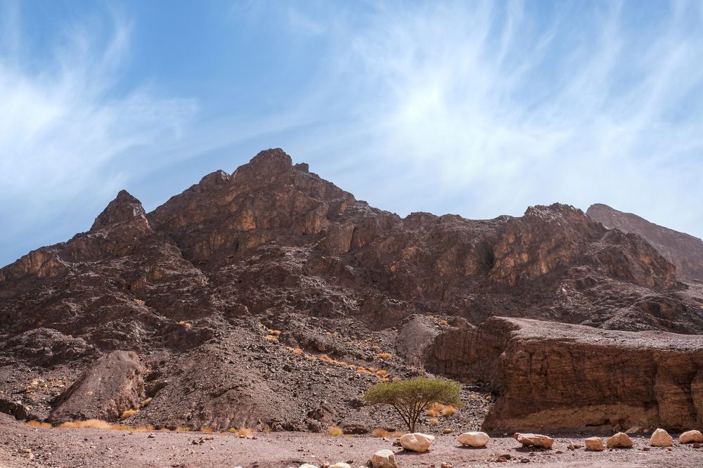 Photograph by sima fink