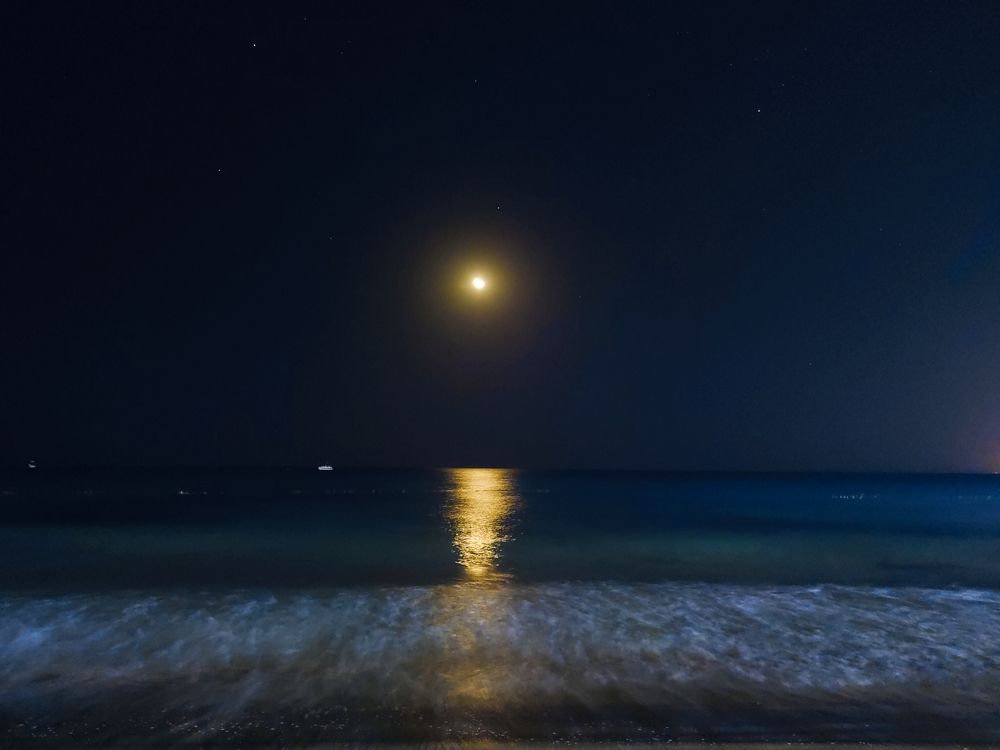 Фотография автора Mahmoud Ahmed