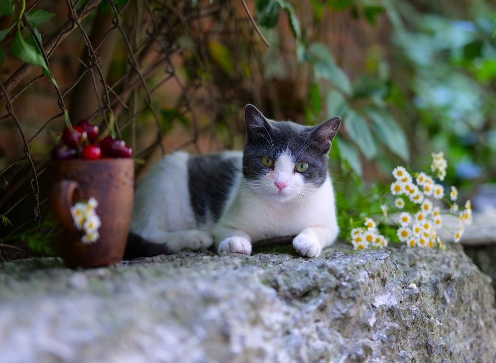 Photograph by Оксана Архипова