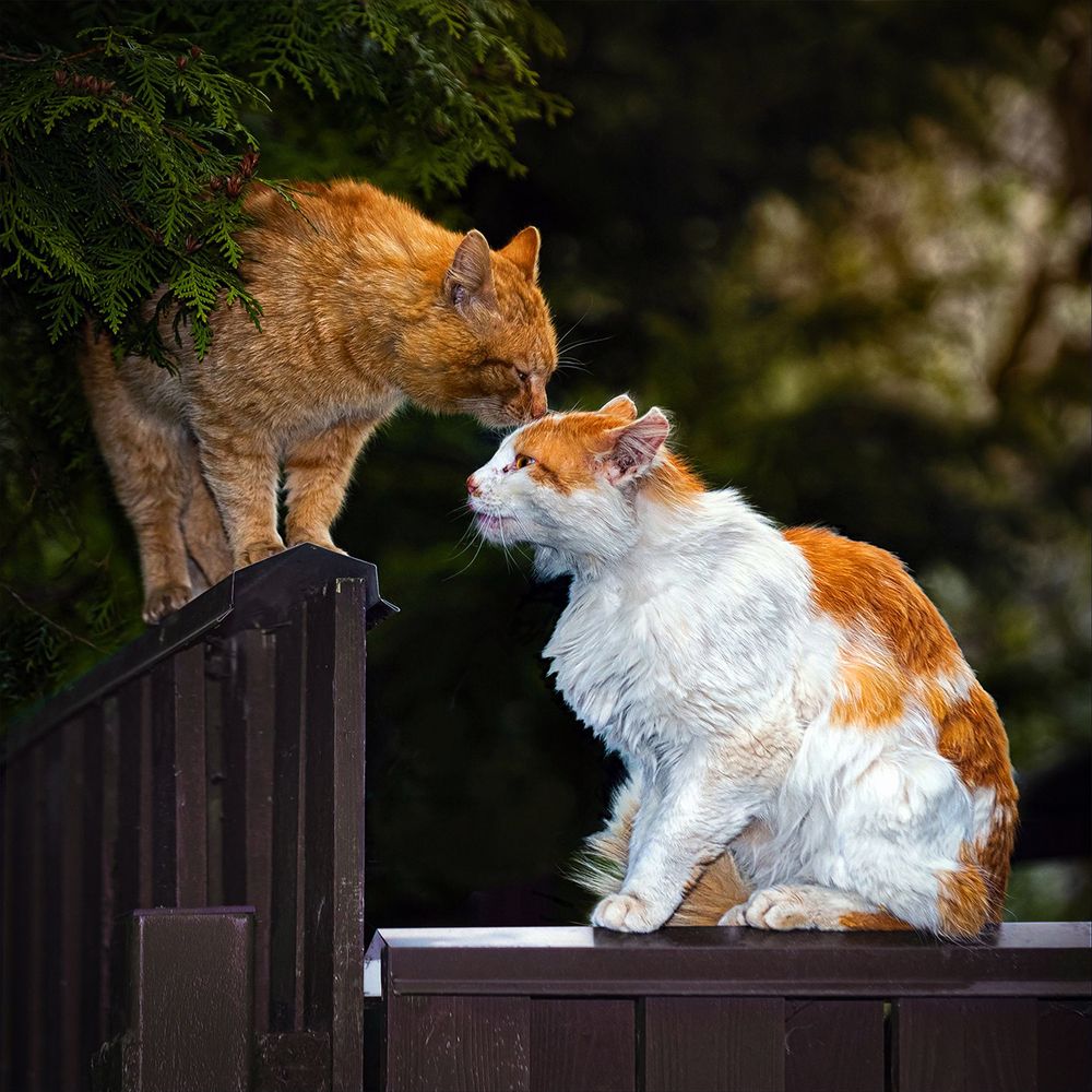 Photograph by Юрий Михайлович Головкин