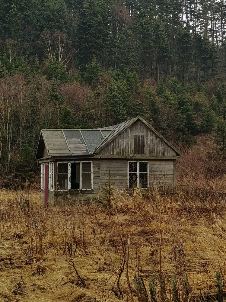 Photograph by Ирина Ветюгова