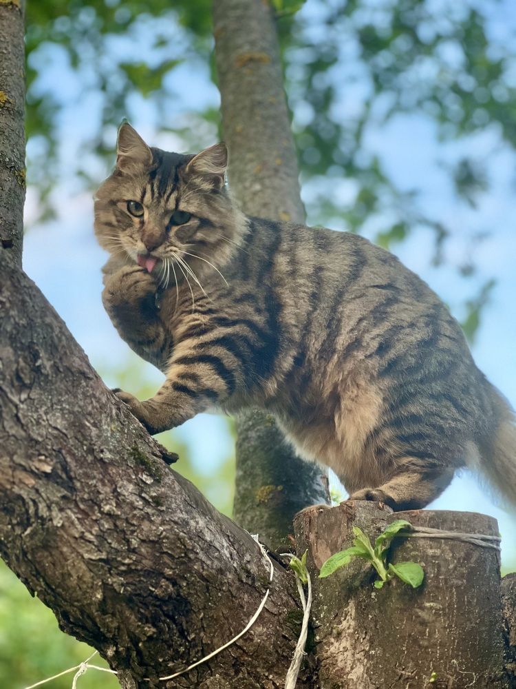 Photograph by Наталья Мэмэлигэ